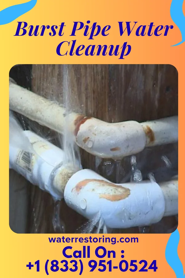 Burst Pipe Water Cleanup in Portland, IA