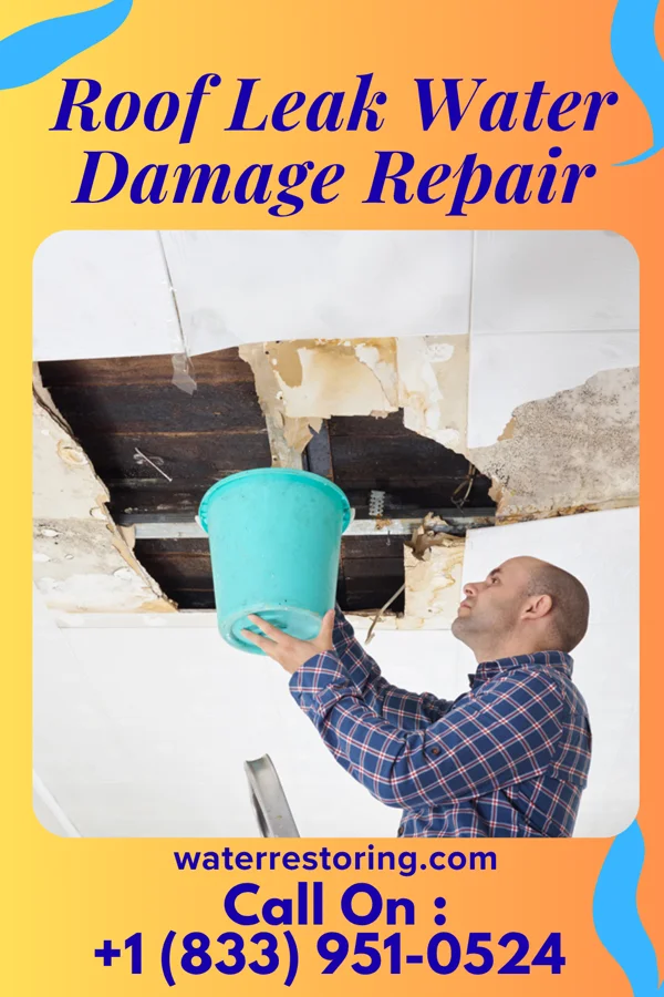 Roof Leak Water Damage Repair in Portland, IA