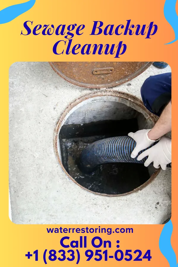 Sewage Backup Cleanup in Portland, IA