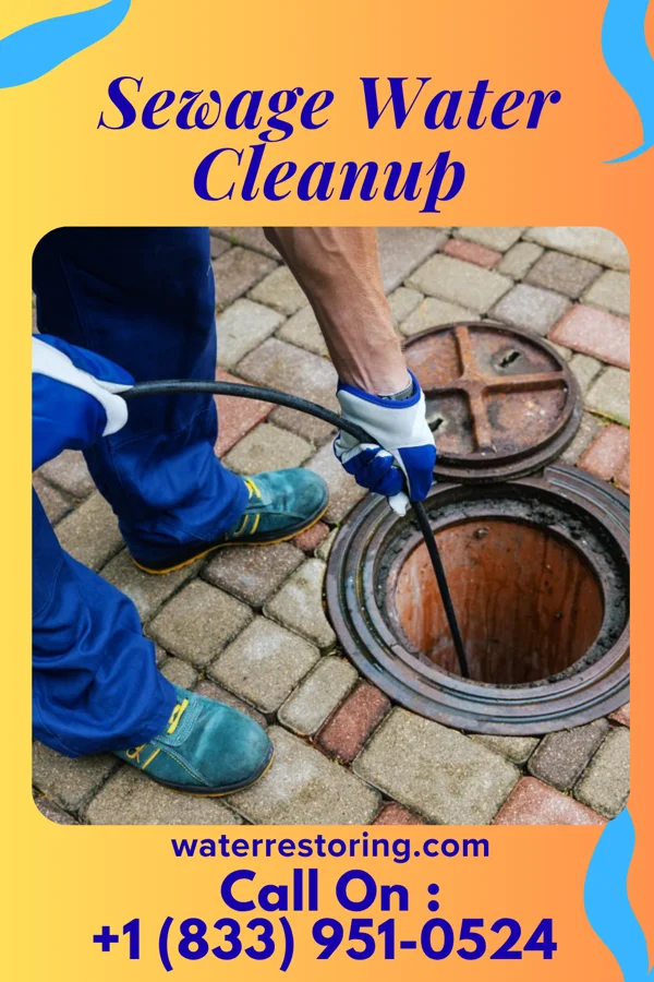 Sewage Water Cleanup in Portland, IA
